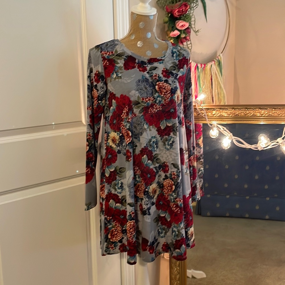 Yee small beautiful dress or long shirt, perfect to go with tights!